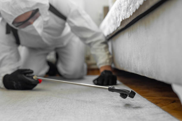 Professional Termite Control technician working in Patterson, LA