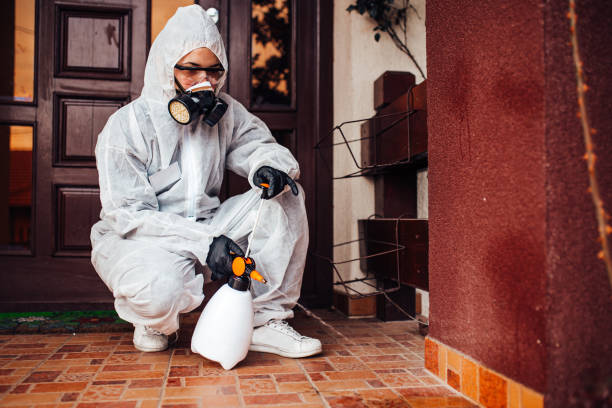 Reliable Termite Control contractor in Patterson, LA by Nex Pest Control