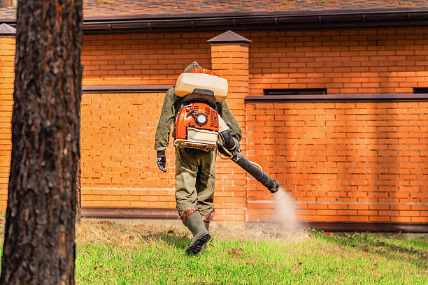 Top rated local Termite Control specialists in Patterson, LA